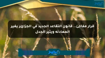 قرار مفاجئ.. قانون التقاعد الجديد في الجزائر يغير المعادلة ويثير الجدل